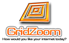 GridZoom Mission Statement